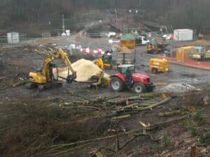 Tree Clearance